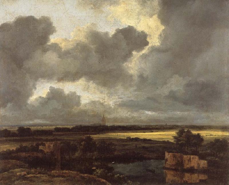 Jacob van Ruisdael An Extensive Landscape with Ruins oil painting picture